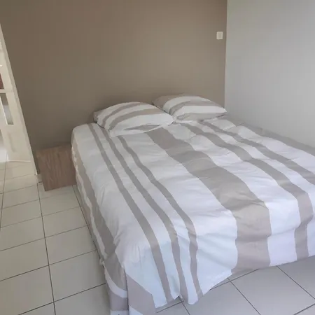 12 A 14 Personnes Proche Albi Castelnau-de-Levis